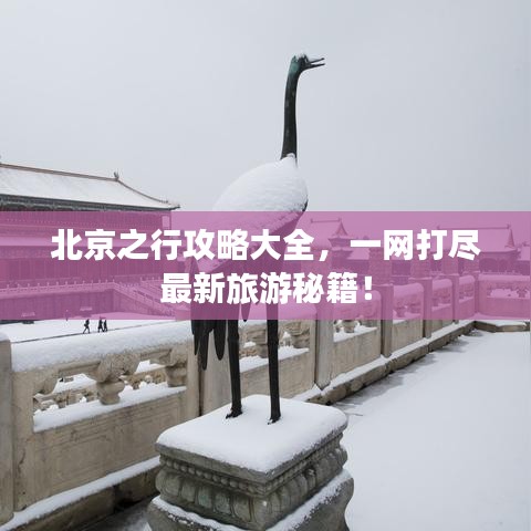 北京之行攻略大全，一網打盡最新旅游秘籍！