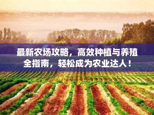 最新農(nóng)場攻略，高效種植與養(yǎng)殖全指南，輕松成為農(nóng)業(yè)達(dá)人！