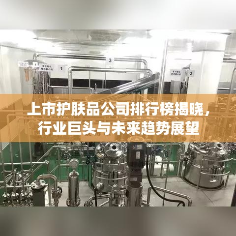 上市護膚品公司排行榜揭曉，行業巨頭與未來趨勢展望