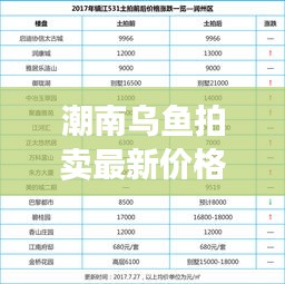潮南烏魚拍賣最新價格動態揭秘