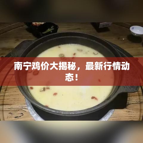 南寧雞價(jià)大揭秘，最新行情動(dòng)態(tài)！
