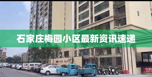 石家莊梅園小區最新資訊速遞