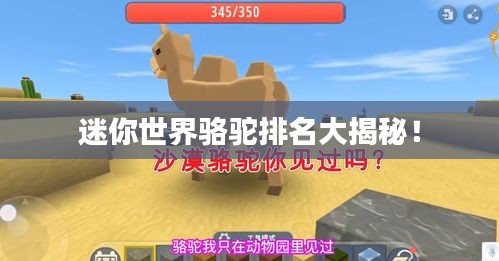 迷你世界駱駝排名大揭秘！