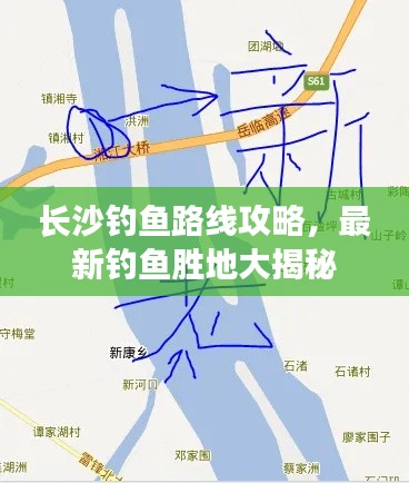 輕徙鳥舉