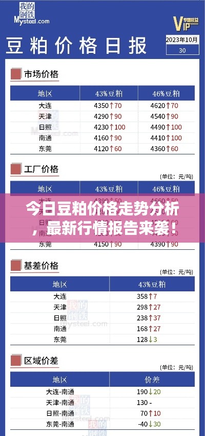 今日豆粕價格走勢分析，最新行情報告來襲！