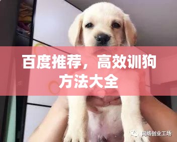 百度推薦，高效訓(xùn)狗方法大全