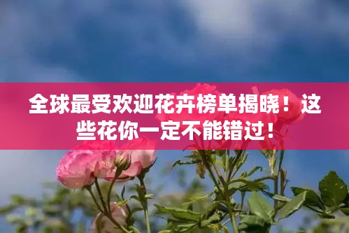 全球最受歡迎花卉榜單揭曉！這些花你一定不能錯過！
