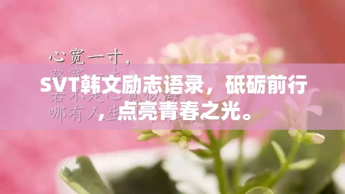 SVT韓文勵志語錄，砥礪前行，點亮青春之光。