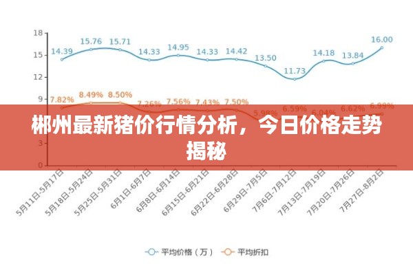 郴州最新豬價行情分析，今日價格走勢揭秘