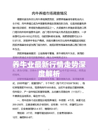 養牛業最新行情走勢深度解析