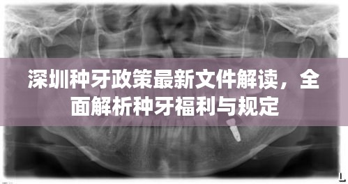 深圳種牙政策最新文件解讀，全面解析種牙福利與規定