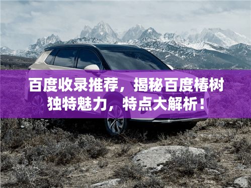 百度收錄推薦，揭秘百度椿樹獨特魅力，特點大解析！