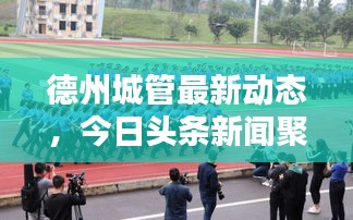 德州城管最新動態，今日頭條新聞聚焦城市管理