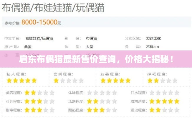 啟東布偶貓最新售價查詢，價格大揭秘！
