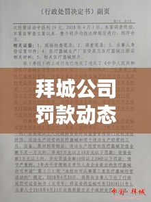 拜城公司罰款動態，最新消息權威發布