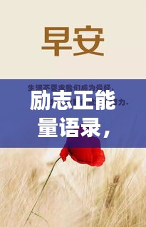 勵志正能量語錄，激發你內心力量的情感寄語