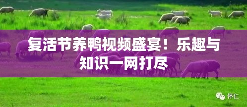 復活節養鴨視頻盛宴！樂趣與知識一網打盡