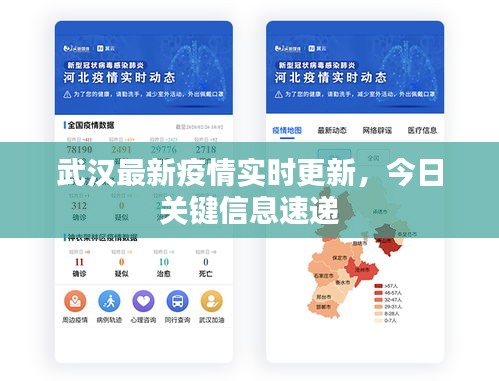武漢最新疫情實時更新，今日關鍵信息速遞
