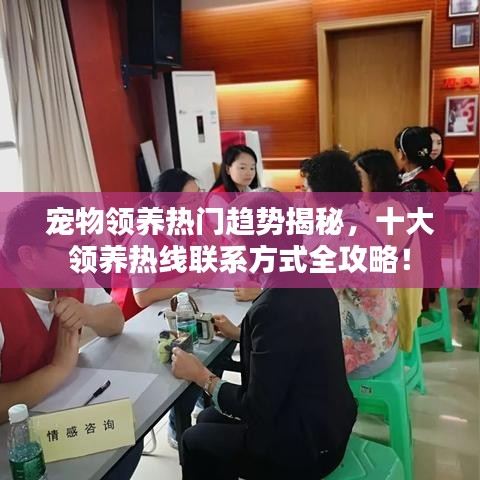 寵物領養熱門趨勢揭秘，十大領養熱線聯系方式全攻略！