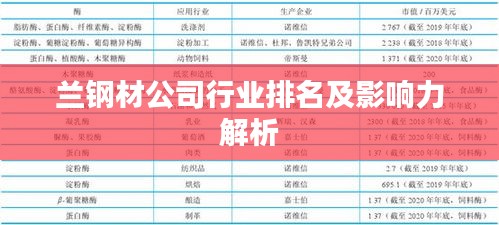 蘭鋼材公司行業排名及影響力解析