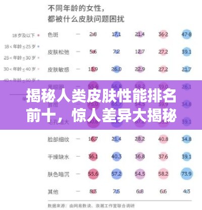 雍容典雅