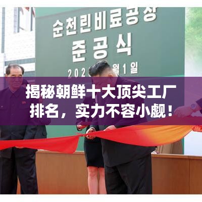 揭秘朝鮮十大頂尖工廠排名，實力不容小覷！
