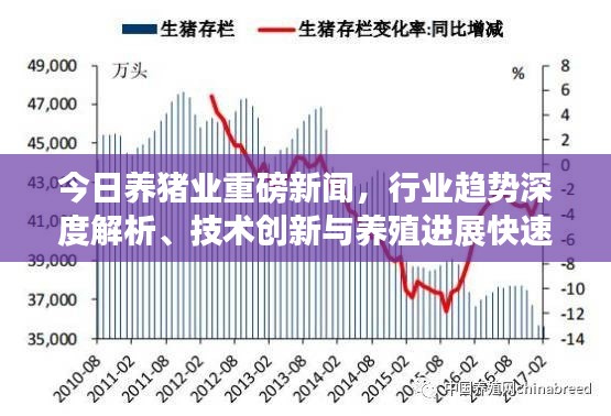 今日養豬業重磅新聞，行業趨勢深度解析、技術創新與養殖進展快速更新