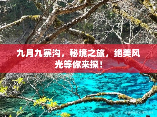 九月九寨溝，秘境之旅，絕美風光等你來探！