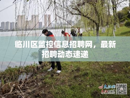 臨川區監控信息招聘網，最新招聘動態速遞