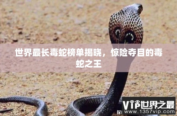 世界最長毒蛇榜單揭曉，驚險奪目的毒蛇之王