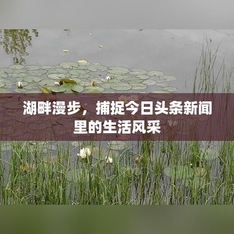 湖畔漫步，捕捉今日頭條新聞里的生活風采