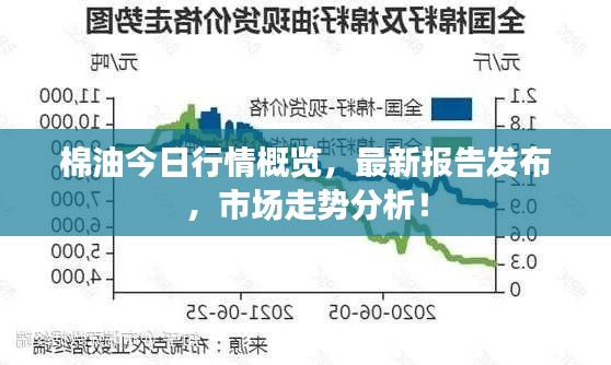 棉油今日行情概覽，最新報告發布，市場走勢分析！