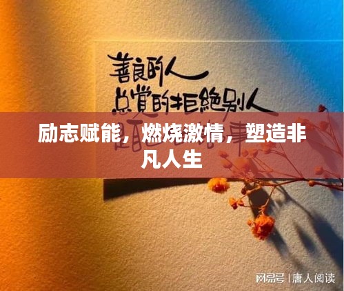 新聞中心 第34頁