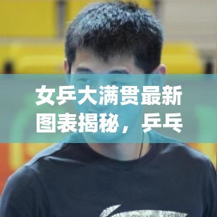 女乒大滿貫最新圖表揭秘，乒乓球界的榮耀成就全解析