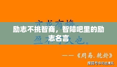 勵志不挑智商，智障吧里的勵志名言