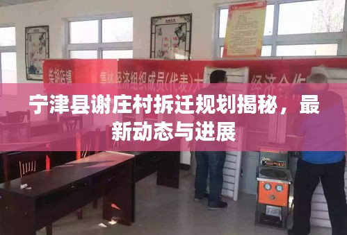 寧津縣謝莊村拆遷規劃揭秘，最新動態與進展