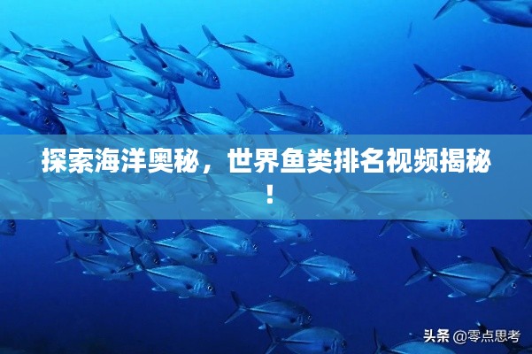 探索海洋奧秘，世界魚類排名視頻揭秘！