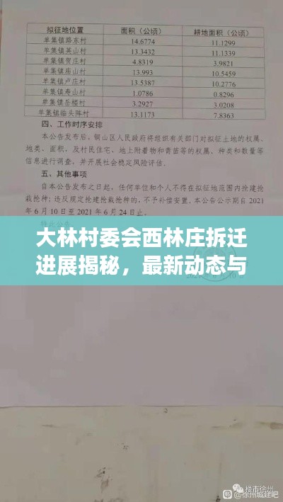 大林村委會西林莊拆遷進展揭秘，最新動態與消息匯總