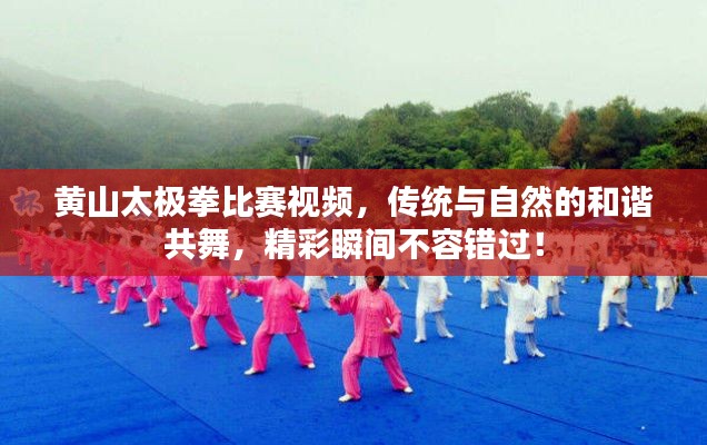 黃山太極拳比賽視頻，傳統與自然的和諧共舞，精彩瞬間不容錯過！