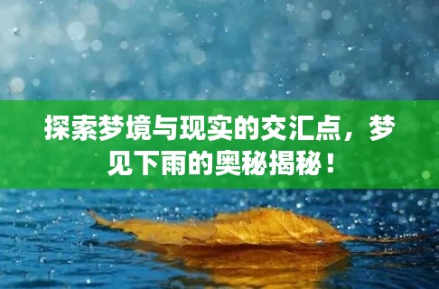 探索夢境與現(xiàn)實的交匯點，夢見下雨的奧秘揭秘！