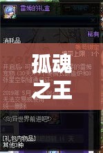 孤魂之王攻略大全，秘籍、技巧一網打盡（最新更新）