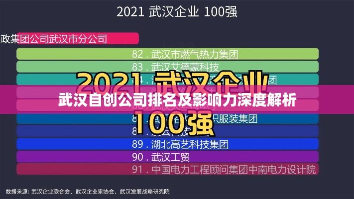 武漢自創公司排名及影響力深度解析