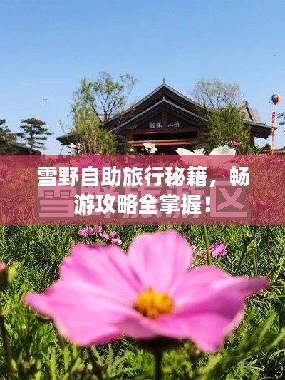雪野自助旅行秘籍，暢游攻略全掌握！