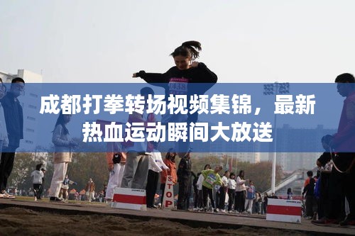 成都打拳轉場視頻集錦，最新熱血運動瞬間大放送