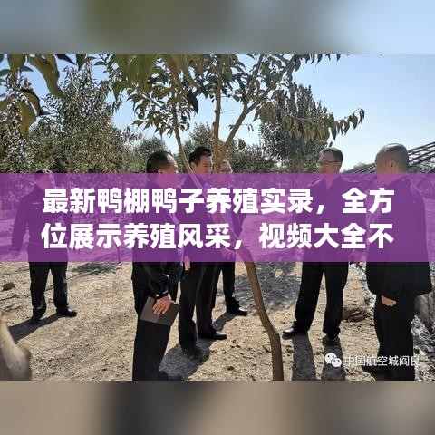 靡顏膩理