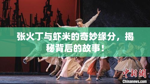 張火丁與蝦米的奇妙緣分，揭秘背后的故事！