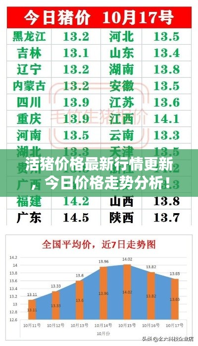 公司簡介 第29頁