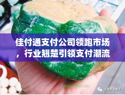佳付通支付公司領(lǐng)跑市場，行業(yè)翹楚引領(lǐng)支付潮流排名揭秘
