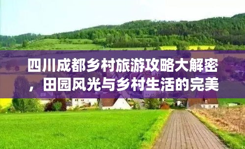 四川成都鄉村旅游攻略大解密，田園風光與鄉村生活的完美體驗