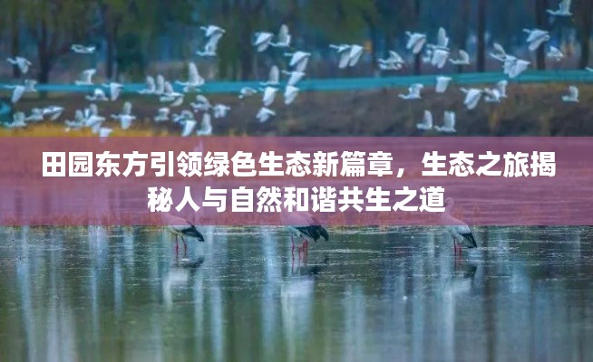 田園東方引領綠色生態新篇章，生態之旅揭秘人與自然和諧共生之道